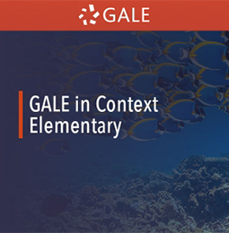 Gale Learning NY